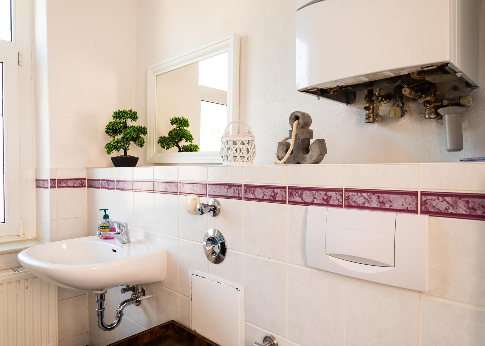 Apartmenthaus Rankestrasse 4 Dresden Buitenkant foto